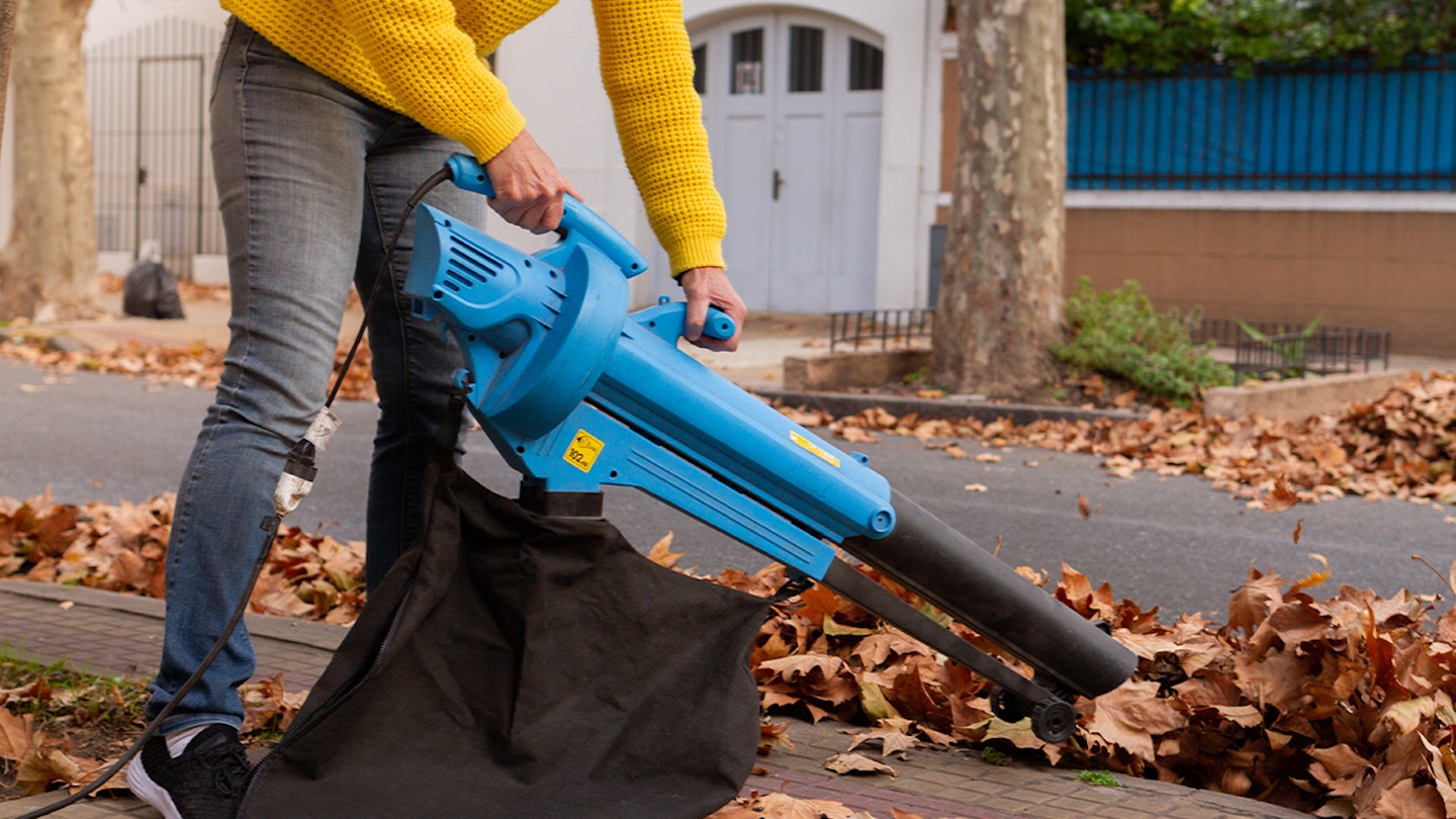 Leaves blower argos deals